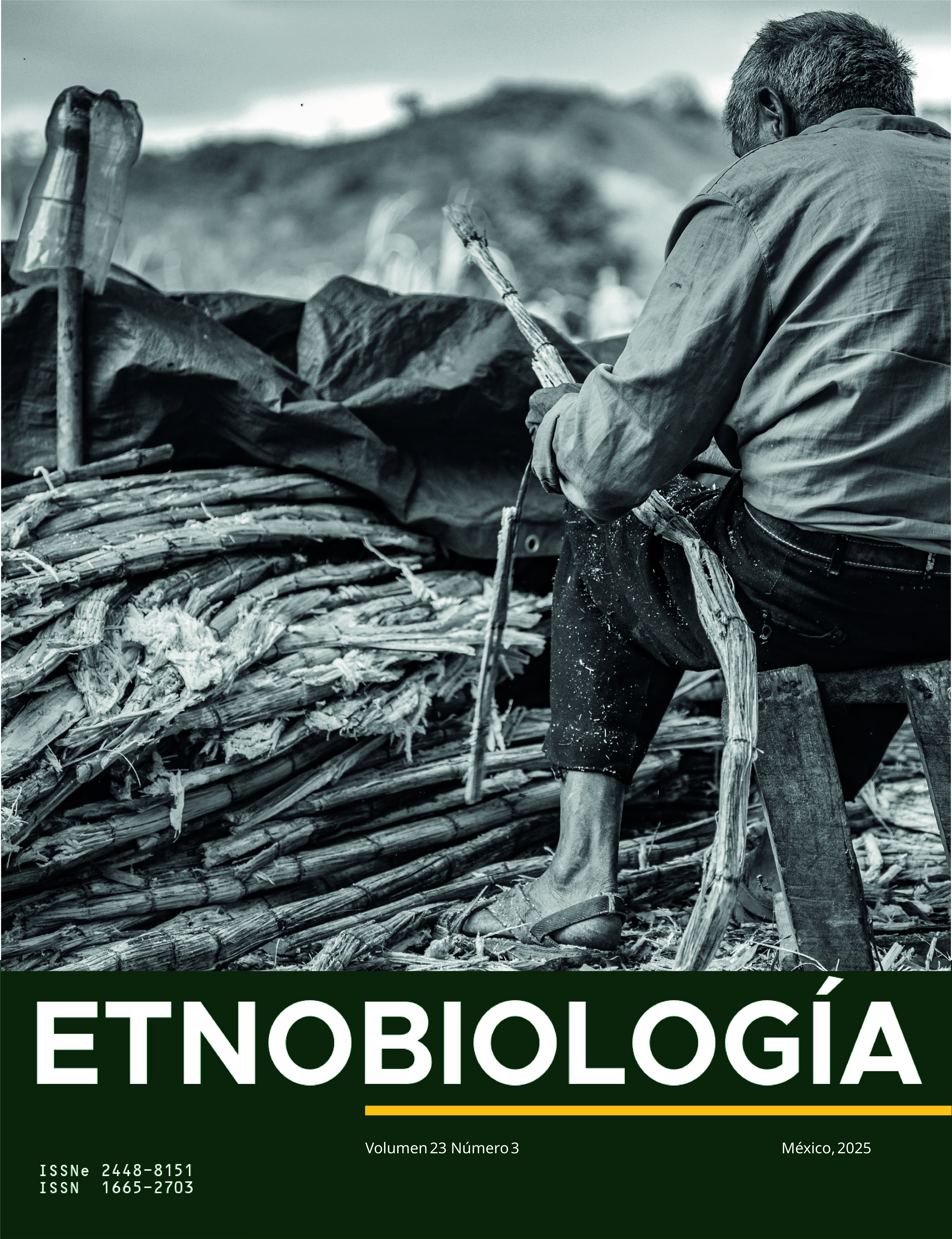 					Ver Vol. 23 Núm. 3 (2025): Revista Etnobiología
				